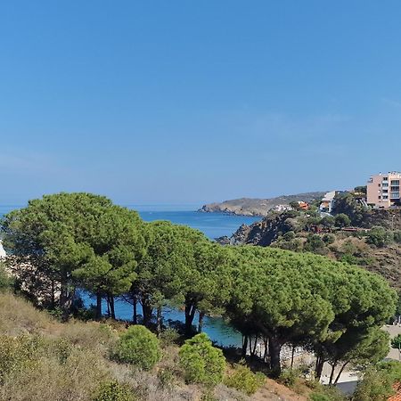 Appartement Avec Terrasse, Wifi, Parking Prive, A 2Min De La Plage Des Elmes - Banyuls-Sur-Mer - Fr-1-309-130 Exteriér fotografie
