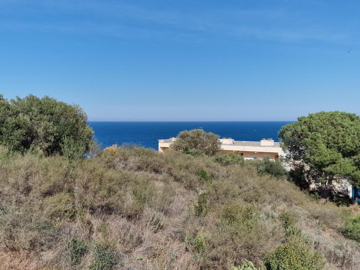 Appartement Avec Terrasse, Wifi, Parking Prive, A 2Min De La Plage Des Elmes - Banyuls-Sur-Mer - Fr-1-309-130 Exteriér fotografie